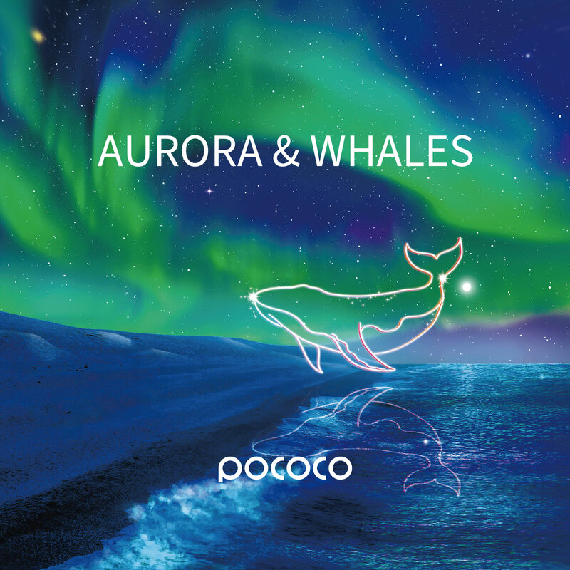 Aurora and Deep Sea - Discs for POCOCO Galaxy Projector, 5k Ultra HD, 6 Pieces ( No Projector )