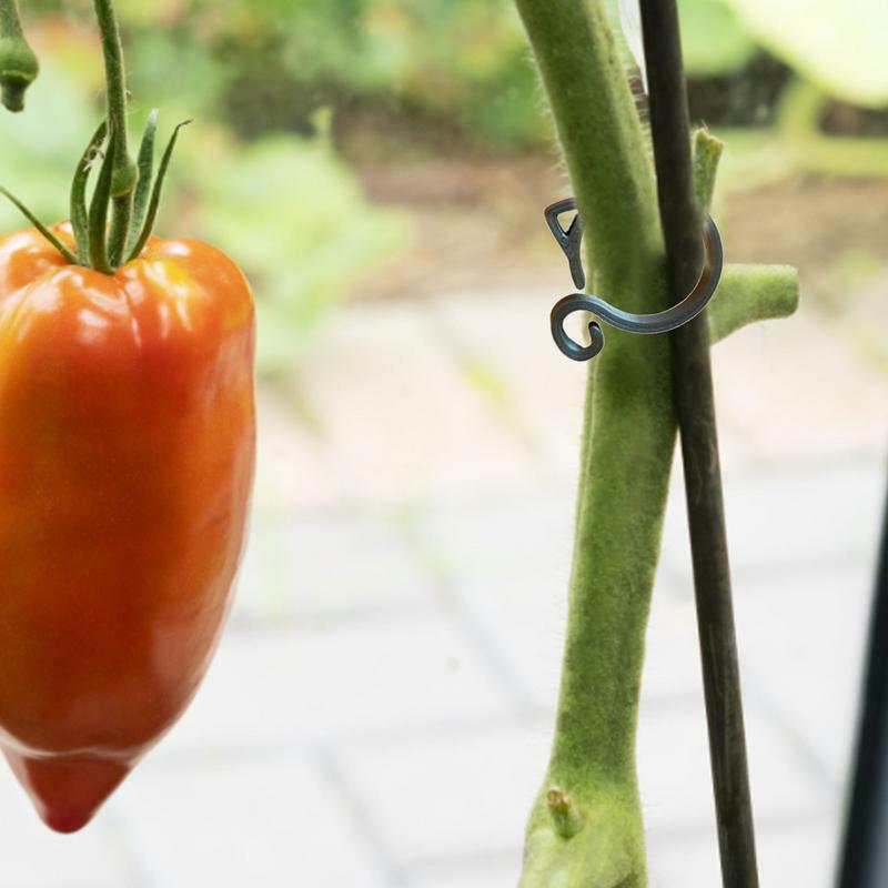 Klipsy do pomidorów w kształcie kota klipsy do podtrzymywania roślin narzędzie do wspierania roślin ogrodniczych do warzyw winorośli z winogron i pomidorów