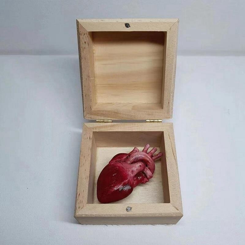 Juguete de corazón Real creativo, caja de corazón de órgano, broma, truco divertido, broma, truco divertido, corazón humano