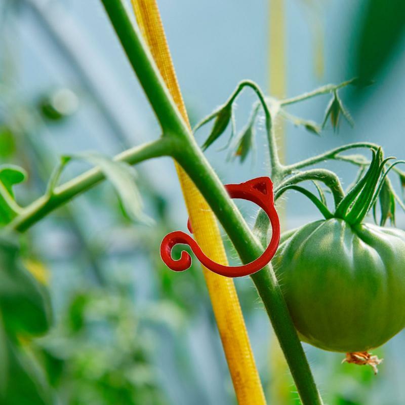 Klipsy do pomidorów w kształcie kota kratki klipsy do podtrzymywania roślin zaciski do zaczepów ogrodniczych i uchwytów do kwiatów