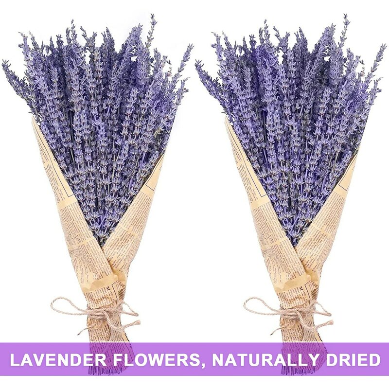 Dried Lavender Decor 1 Box Fragrant Fadeless Composed  Clean Air Dried Lavender Decor Natural Plants