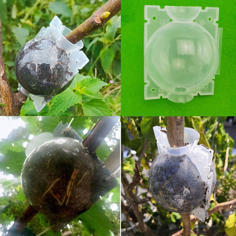 Bolas de enraizado para árboles de jardín, caja de propagación de alta presión, injerto de plantas, equipo de bolas de crecimiento de plantas, plantación transparente