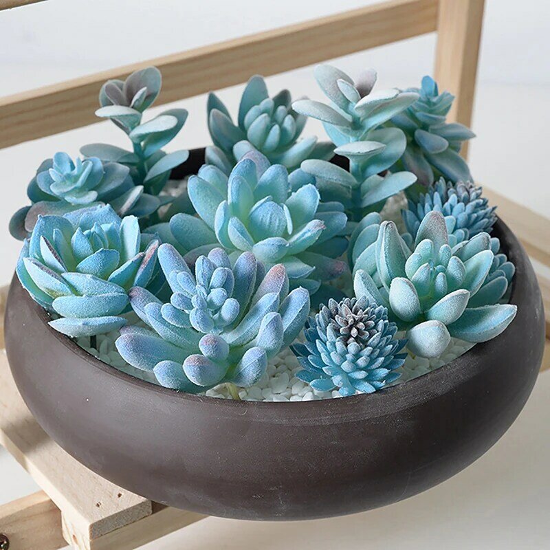 Plantes succulentes artificielles floquées bleues, fausse plante bonsaï en pot, ornements de décoration de jardin, maison