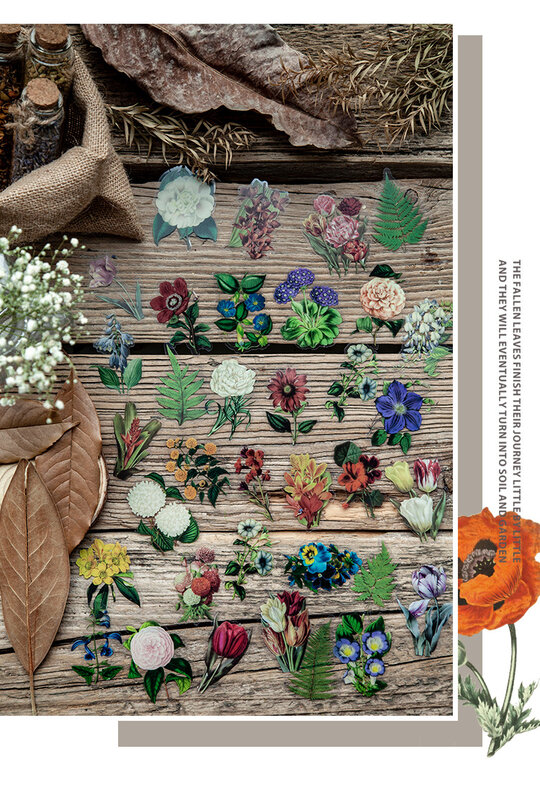 30pcs/pack Plant Secret PET Stickers Bag Retro Flower Hand-book Material Decorative Sticker
