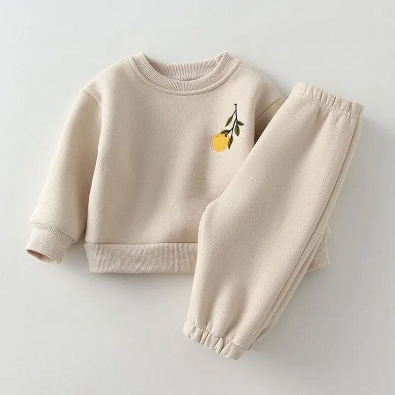 Conjunto de ropa de 2 piezas para bebé y niño, sudadera de lana gruesa bordada, pantalones cálidos, chándal para niño pequeño, primavera e invierno