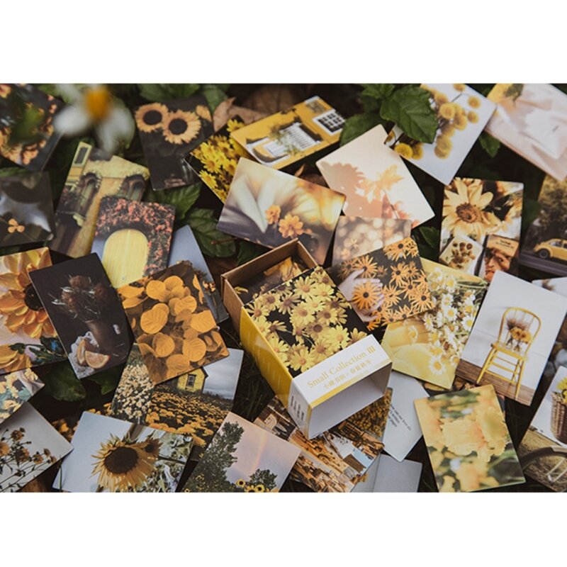 مجموعة ملصقات ورقية من الزهور العتيقة ورسومات توضيحية وصور تزيين
