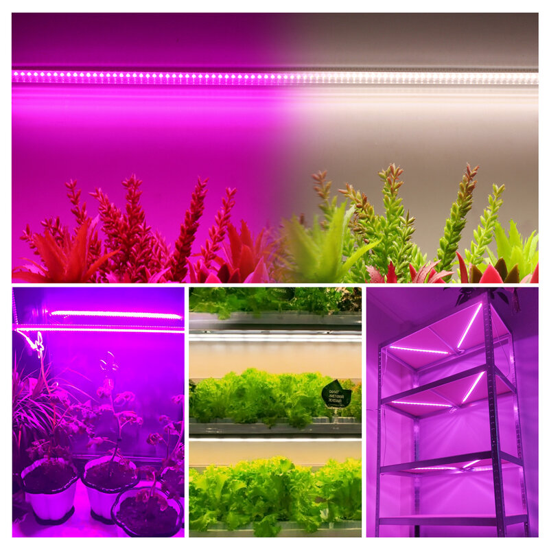 Grow 220V เต็มสเปกตรัมแถบไฟ LED สำหรับพืช50ซม.Phyto โคมไฟสำหรับพืช Veg ดอกไม้เรือนกระจกเต็นท์4000K สีม่วง