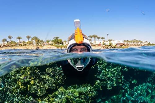 - Aria QR + Maska do snorkelingu z szybkozłączką - Maska do snorkelingu na całą twarz - Wizja podwodna 180 stopni - 8 kolorów i 4 rozmiary kota
