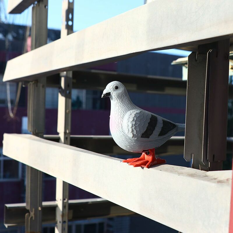 Figurine de pigeon dos en plastique pour décoration, jouet à remonter, en plumes artificielles, jouet mécanique, modèle animal