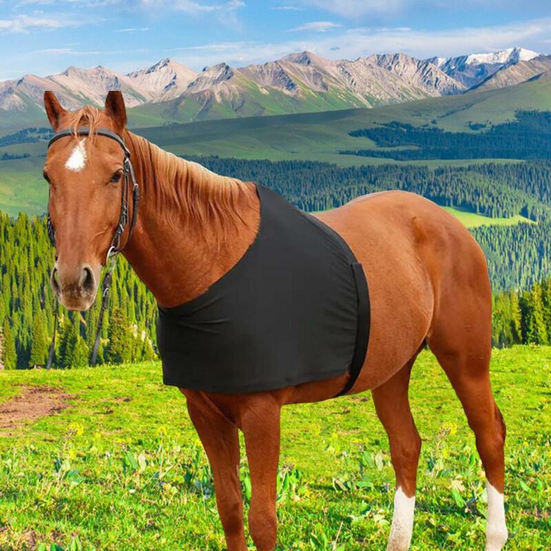 Защита для лошадей, легкий протектор для груди и плеч, дышащее снаряжение для живота