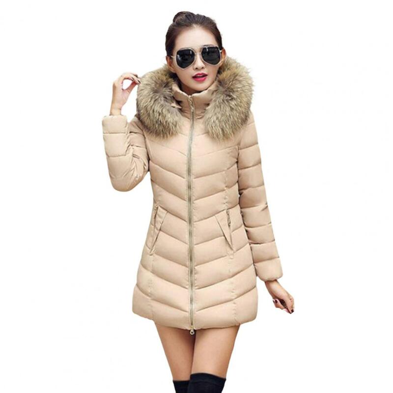منتصف طول معطف القطن مبطن ، قبعة فروي ، حافة سستة ، طويلة الأكمام ، الشتاء