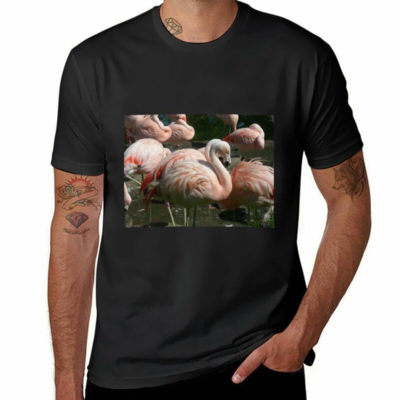 Flamingo birds 005 t-shirt oversize moda coreana magliette nere per uomo