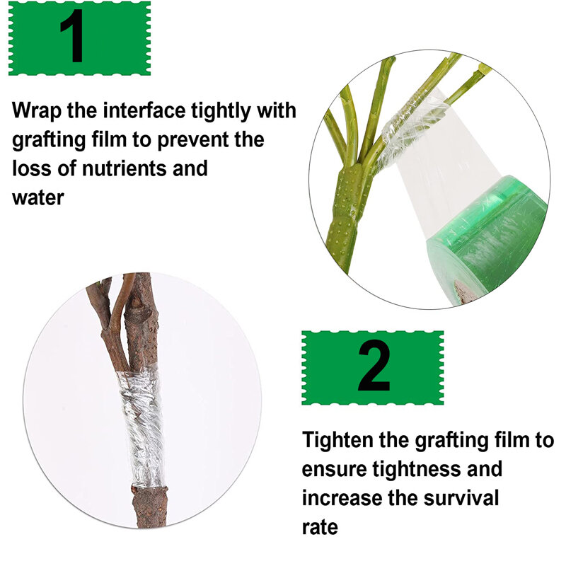 Stretchable filme auto-adesivo enxerto fita, árvore especial enxerto ferramenta, jardim Bind fita, 100 m, 200 m, 2 cm, 2,5 cm, 3cm