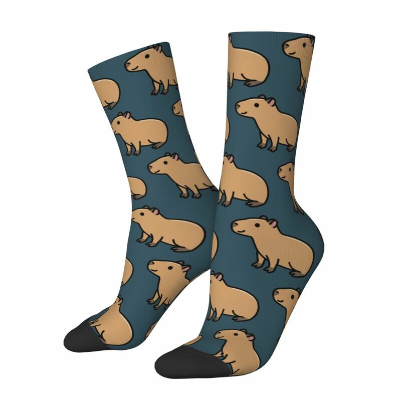 Capybara Socks Harajuku High Quality Stockings All Season Long Socks Accessories for Unisex Birthday Present