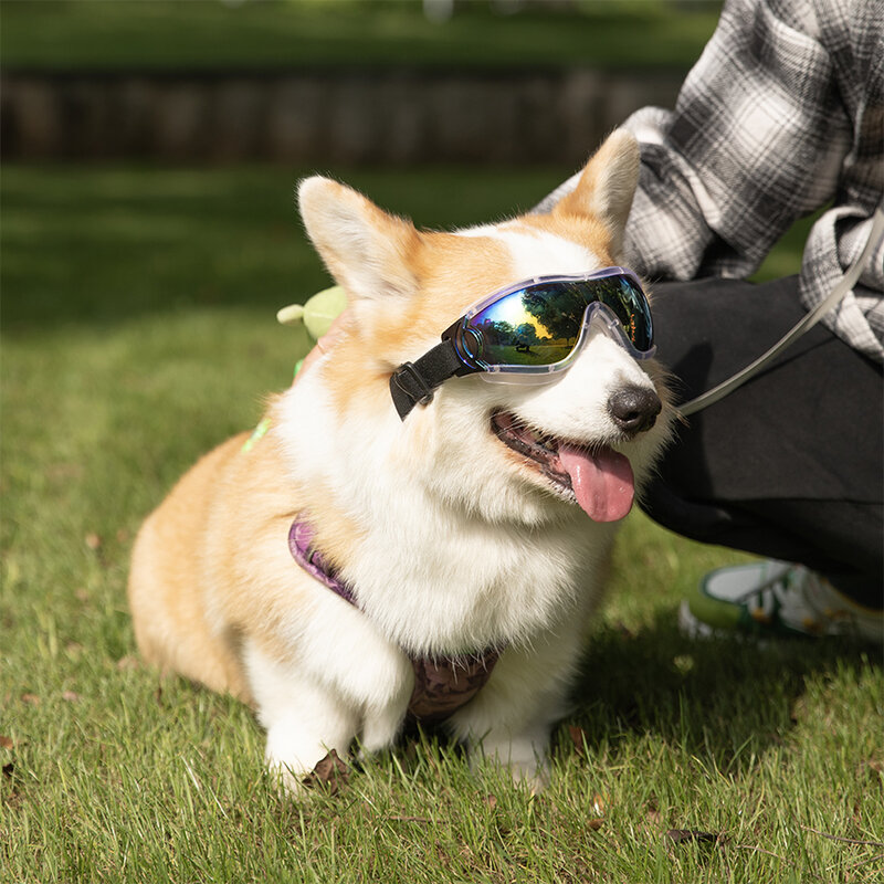 Lunettes de soleil coupe-vent pour chiens, lunettes réglables, accessoires pour animaux de compagnie, degré UV, convient aux chiens moyens à grands, 55g