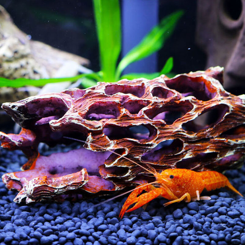Decoração do aquário resina cholla madeira tanque de peixes paisagismo camarão abrigo ninho tanque esquivando casa desova buraco raízes de peixes