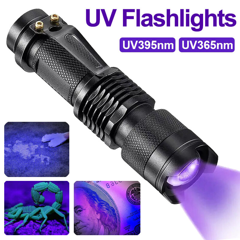 Lampe de poche LED UV portable, 365 nm, 395nm, mini torche ultraviolette, étanche, zoomable, verre, lumière, détecteur d'urine d'animaux, de scorpions