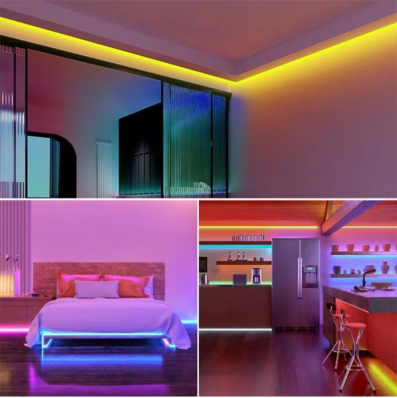 Pvc Smd 5050 RGB impermeável LED Neon Light Strip, Wifi, Festa, Iluminação de férias, Corda, Personalizado