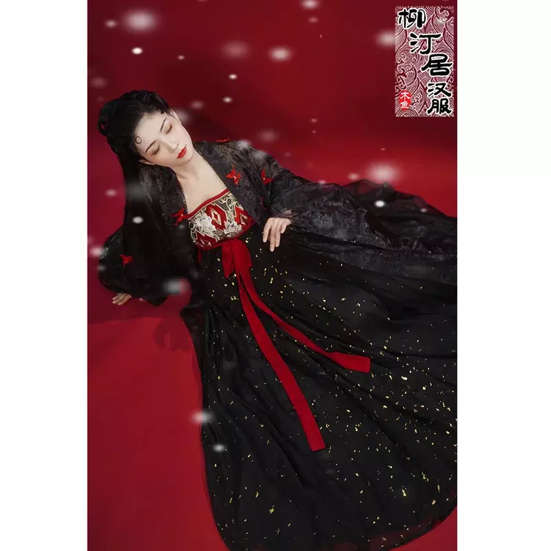 LiuTingJu Vintage Black Lace Bronzing Hanfu Dresses 4PCS For Women Chinese Traditional Hanfu Gothic Halloween Cosplay Costumes