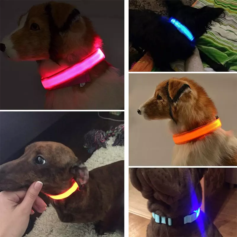Светящиеся ошейники для собак, перезаряжаемый водонепроницаемый светящийся ошейник, регулируемый ошейник для собак, ночник, безопасное ожерелье для собак