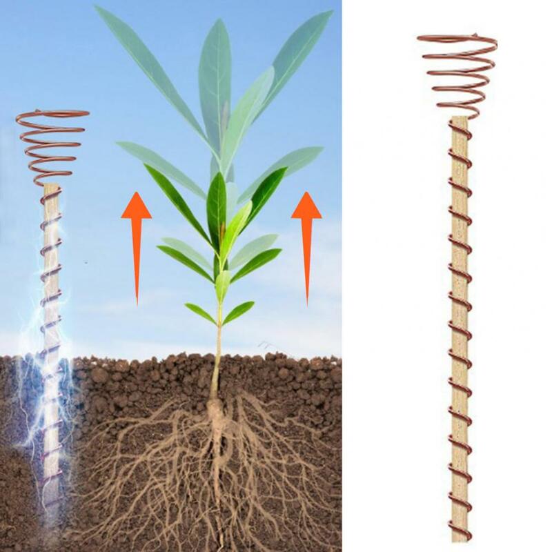 Pflanzens tütz regal Multifunktion aler Pflanzen pfahl 12-Zoll-Gartenpfähle für Zimmer pflanzen einfach für gesunde Zwecke zu installieren