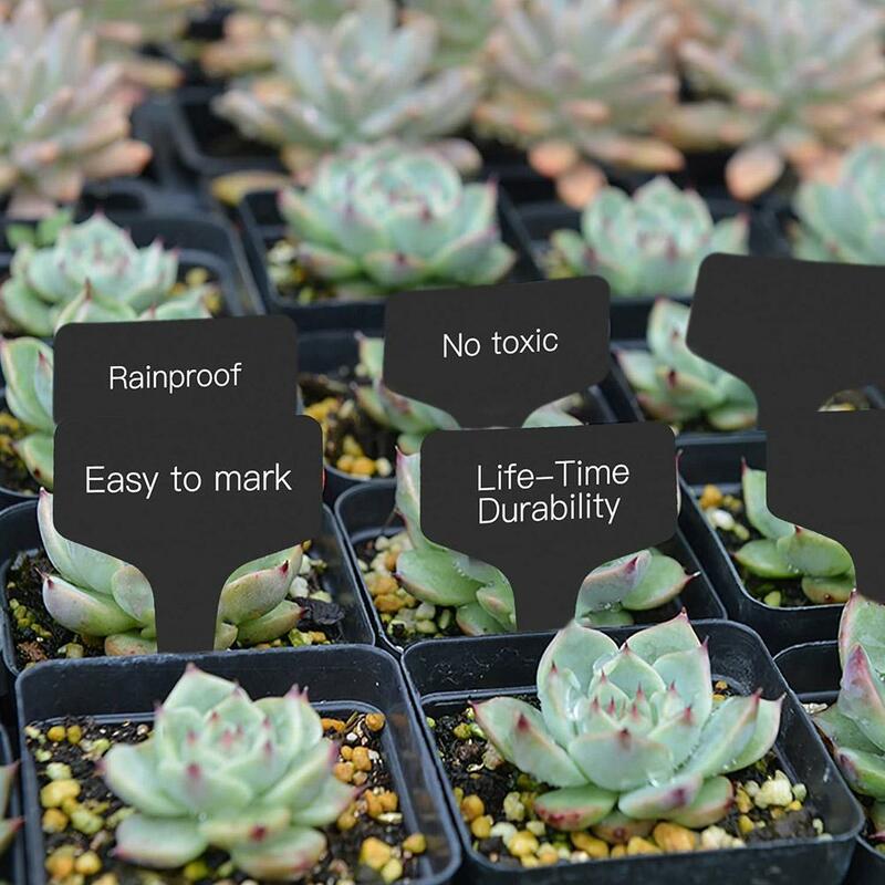 10 Stuks Kleurrijke Plant Markers Tuin Bonsai Sappige Zaaien Tags Teken Pvc Tuinieren Labels Inzet Op Aarde Verf Stokken Willekeurig