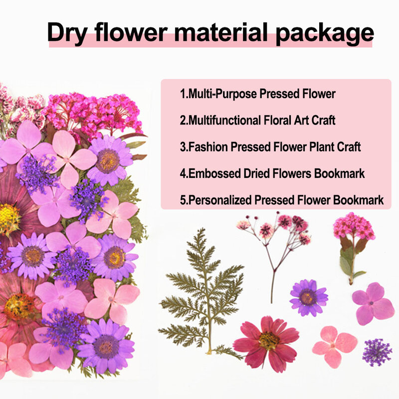 Juego de flores secas prensadas DIY, artesanía de arte Floral multifuncional para hacer jabones