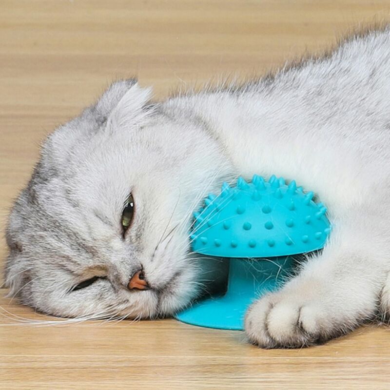 Tpr Cat Massageapparaat Slijtvast Met Zuignap Kattenmassage Zelftrimmer Kam Kattenkrabber Pet Zuignap Massageborstel