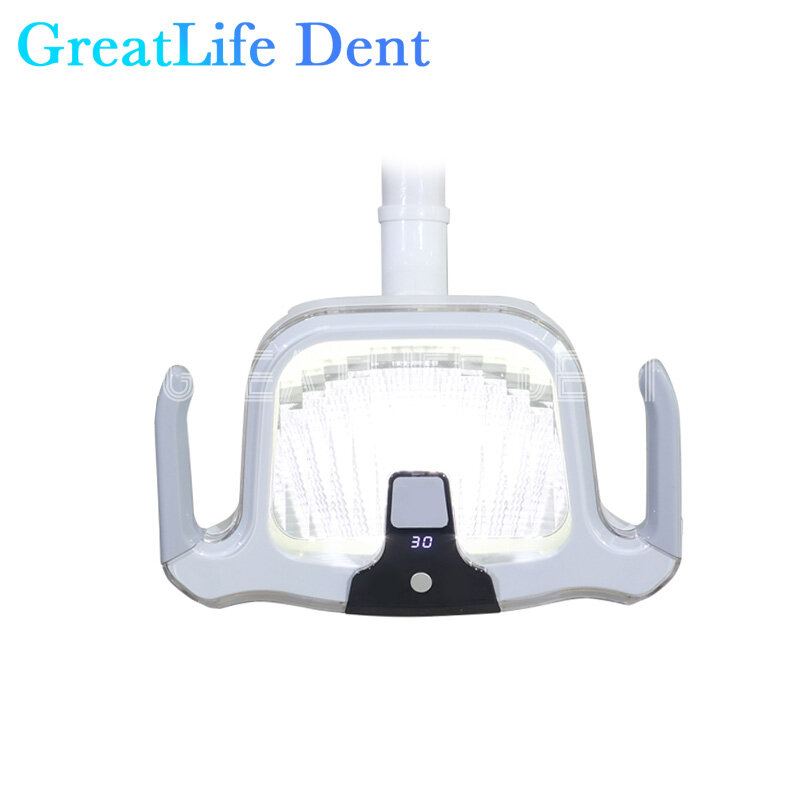 GreatLife-indução Shadowless lâmpada LED, Operação Luz Dental, Novo equipamento de cadeira Dental Unidade, 10W