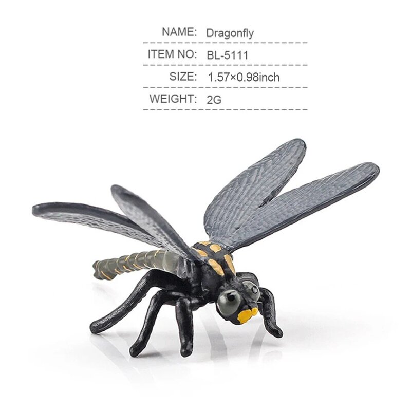 Confezione da 12 insetti insetti figure figurine di animali educativi giocattoli interattivi per bambini Set accessori aula scolastica