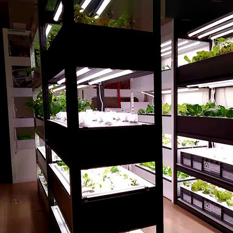Sistema de cultivo hidropónico para interiores, plantador de verduras para invernadero, sistema hidropónico Vertical, torre de jardín, plantador aeróbico inteligente