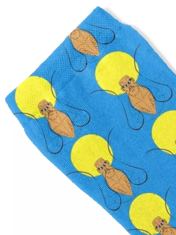 Bobo-Calcetines de color con estampado para hombre y niña, medias de diseñador