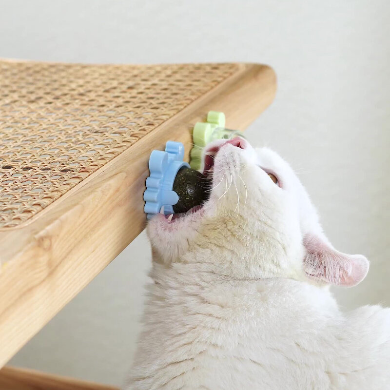 Pet Stuff Healthy แมว Catnip ของเล่นแมว Candy เลียขนม Catnip ขนมพลังงานโภชนาการ Ball Kitten ของเล่นแมวอุปกรณ์