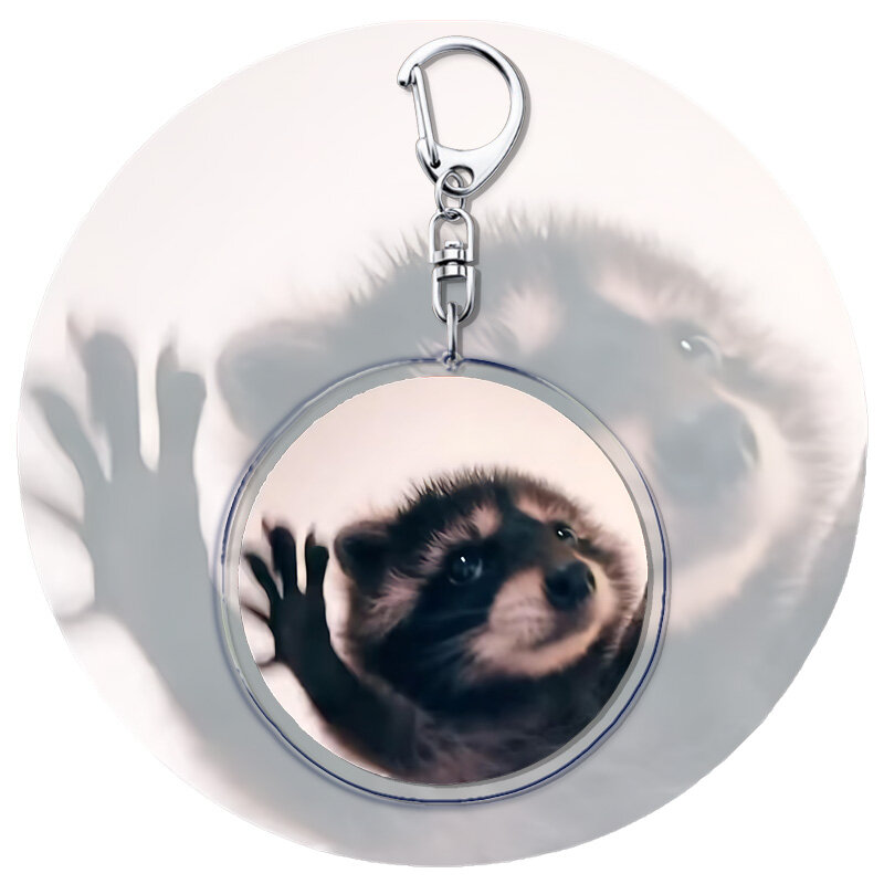 Cute Dancing Pedro Raccoon Meme Acrylic Keychains Ring for Accessories Bag Pendant Key Chain Animal Llavero Jewelry Fans Gifts