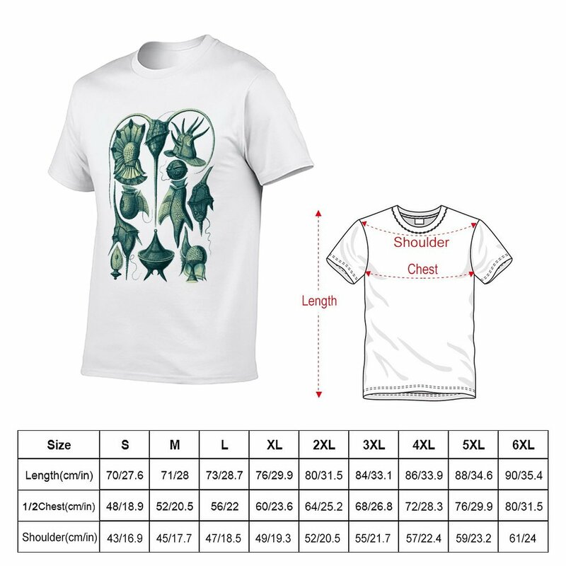 T-shirt da uomo in Teal Plankton Peridinea di ricircolo Haeckel t-shirt oversize vintage per uomo pack
