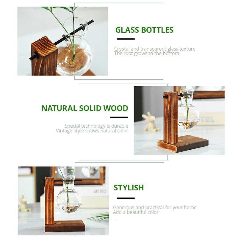 Vase à ampoules transparent avec support en bois, jardinière en verre de bureau pour plantes hydroponiques, décor de chambre de café