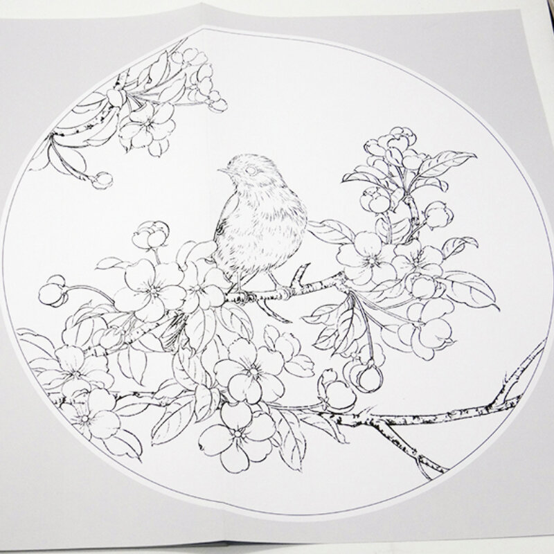 ดอกไม้นกวาดต้นฉบับภาพวาดหนังสือ Center Complicated Simple วาดส่วนประกอบ Tutorial Line สำเนาอัลบั้ม