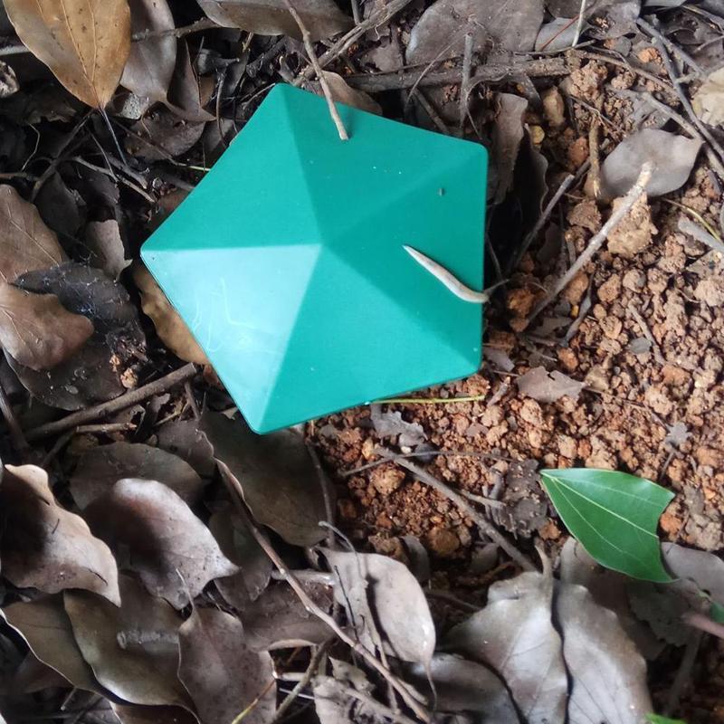 Trampa de plástico para insectos, herramienta Simple para atrapar caracoles, 6 piezas
