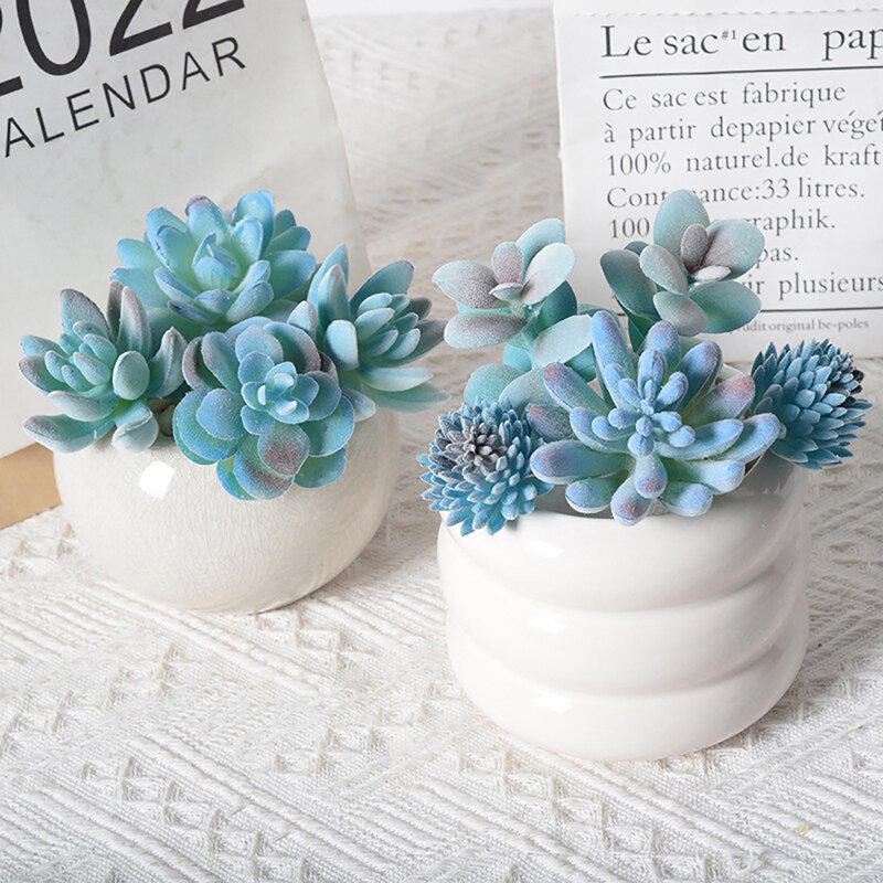 Plantes succulentes artificielles floquées bleues, fausse plante bonsaï en pot, ornements de décoration de jardin, maison