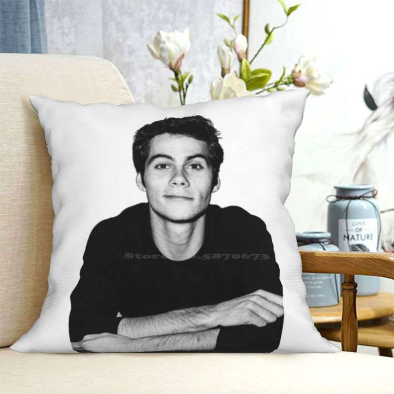 Dylan O'briennn sarung bantal pelukan kantor kamar tidur Dylan O Brien lucu