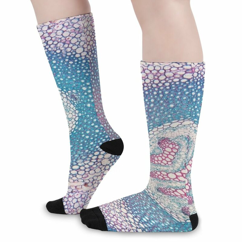fern stem, vein cells; plant anatomy, microscopy Socks Woman socks Stockings compression
