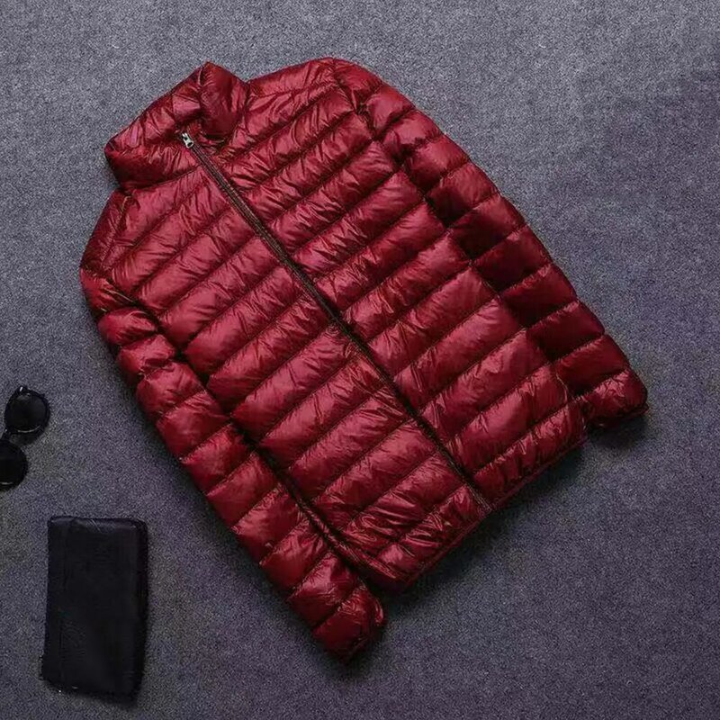 남성용 스탠드 칼라 패딩 재킷, 지퍼 플래킷 포켓, 경량 퀼트 코트, 가을 겨울 패션