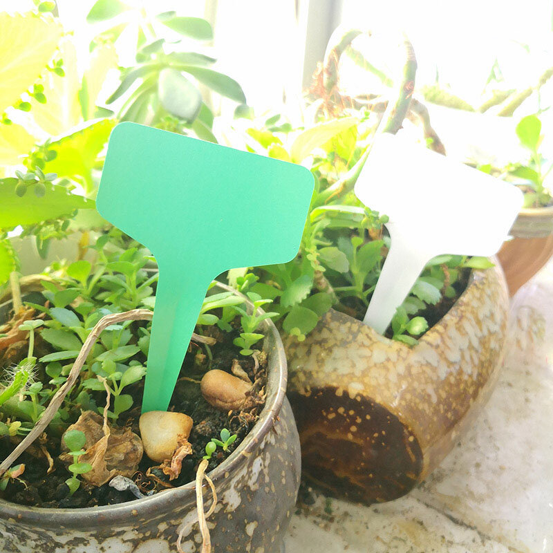 100X PVC tanaman rumah kaca T tag label pot bunga plastik tanda tanda tahan air herbal tanaman peralatan taman T1