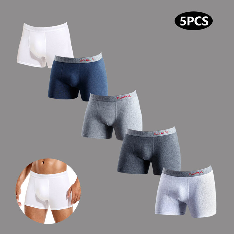 Ropa interior de algodón para hombre, Bóxer Sexy con letras, cintura elástica, pantalones cortos, 5 piezas