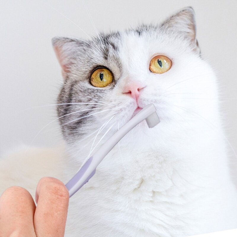 Escova dentes para gatos para animais estimação Escova dentes com cerdas macias Escova limpeza com longo