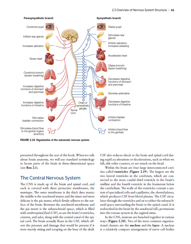 علم الأعصاب بيولوجيا العقل 5th ed علم الإدراك للعقل