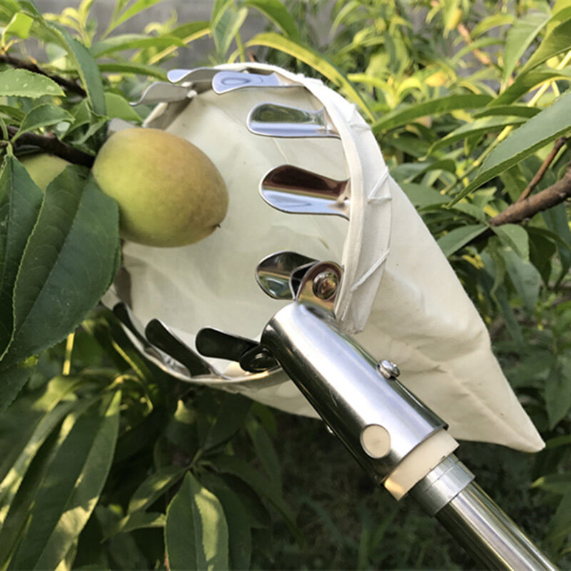 Металлический прибор для сбора фруктов, садовый фруктовый Ловец персикового дерева, прочный удобный прибор для сбора фруктов