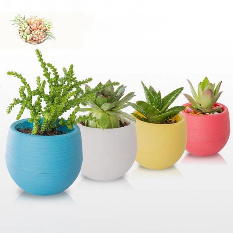 Foro di drenaggio in plastica vaso per piante a forma di uovo vaso da fiori Home Office Garden Decor