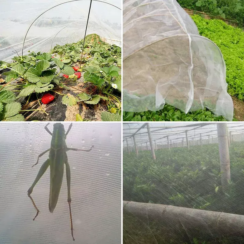 Penutup Jaring Serangga Sayuran Taman Jala Kontrol Pencegahan Hama Serangga Burung Jaringan Perlindungan Perawatan Bunga Tanaman Panjang 6/10M