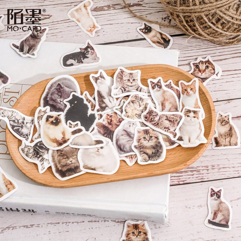 45 pezzi adesivi per gatti carini adesivi per gattini decalcomanie per giocattoli per bambini regali Scrapbook artigianato arti journaling